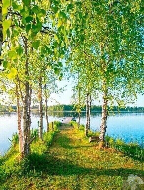 Ослабленный организм человека
